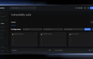 Vulnerability Suite (Dumper)