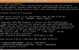DOSEMU screenshot 1