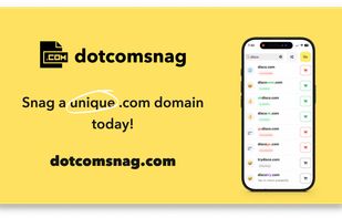 dotcomsnag screenshot 3