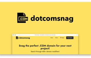 dotcomsnag screenshot 1