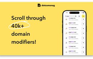 dotcomsnag screenshot 1