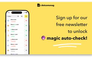 dotcomsnag screenshot 2