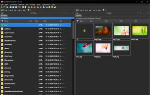 Double Commander screenshot 1