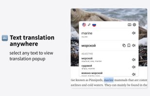 DoubleSubs screenshot 1
