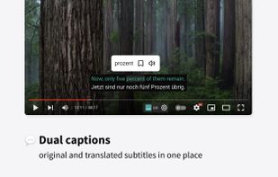 DoubleSubs screenshot 1