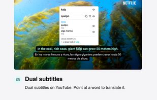 DoubleSubs screenshot 1