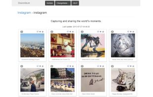 DownAlbum screenshot 1