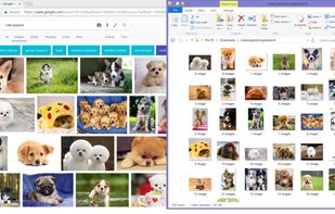 Download All Images screenshot 1