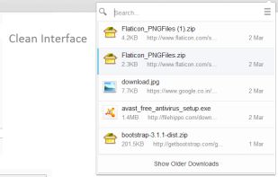 Download Manager screenshot 1