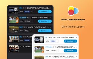 Video DownloadHelper screenshot 3