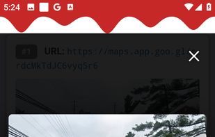 Full-size preview after tapping the image