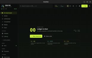 DownMan screenshot 1