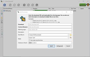 DownThemAll screenshot 1