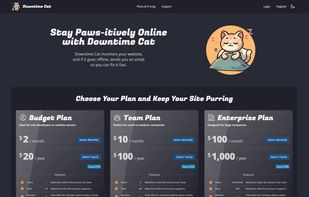 Budget, Team and Enterprise Plans.
