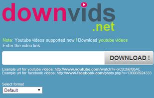 Downvids.net screenshot 1