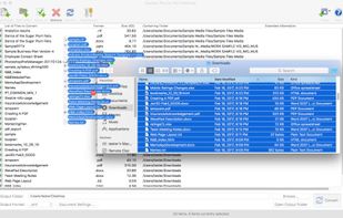 Doxillion screenshot 1