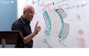 Dr. Najeeb Lectures screenshot 1