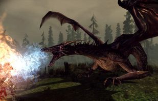 Dragon Age screenshot 1