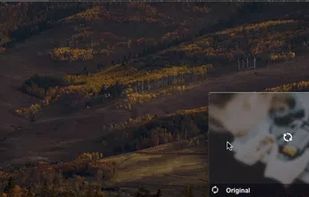 Dragula screenshot 1