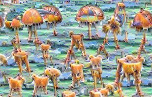 dream-creator screenshot 1