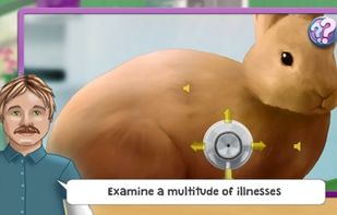 Dreamjob Veterinarian screenshot 2