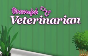 Dreamjob Veterinarian screenshot 1