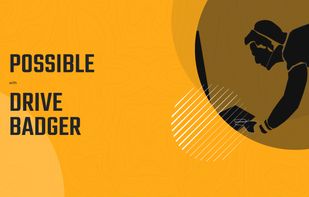 Drive Badger screenshot 1