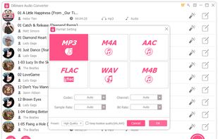 DRmare Audio Converter screenshot 1