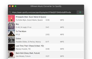 DRmare Spotify Music Converter screenshot 2