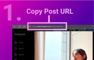 Druful - Instagram Downloader screenshot 1