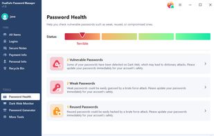 DualSafe Password Manager  screenshot 1
