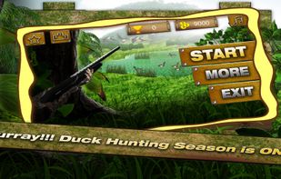 Duck Hunting 3D screenshot 1