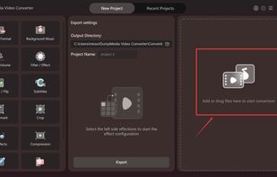 DumpMedia Video Converter screenshot 1