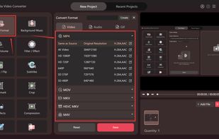 DumpMedia Video Converter screenshot 1
