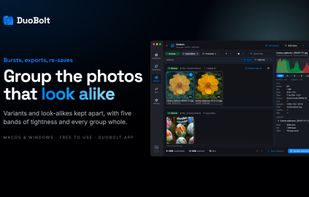 Similar photos grouped as variants or look-alikes, identical copies stacked, an inspector beside the grid.