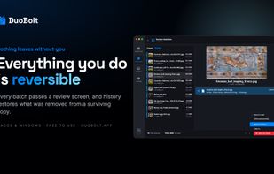 Every batch passes a review screen before anything moves to the Recycle Bin, an archive or a copy.