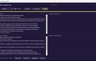 Subtitle a video or audio file and export SRT/VTT (Professional)