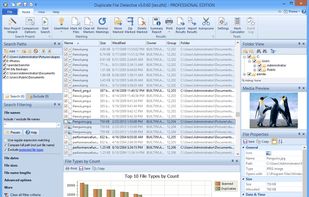 Duplicate File Detective screenshot 1