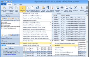 Duplicate File Detective screenshot 1