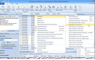 Duplicate File Detective screenshot 3