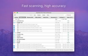 Duplicate File Finder & Remover screenshot 2
