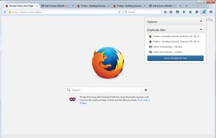 Duplicate Tabs Closer screenshot 1