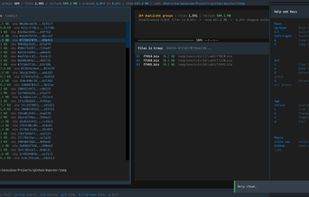 Demo