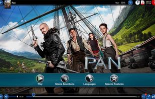 DVD menu during playback