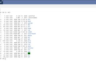 It allows you to start a terminal session on the remote system.