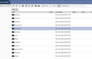 It allows you to fully access the file system of the remote system