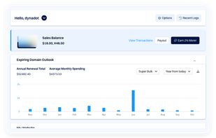 Dynadot screenshot 1