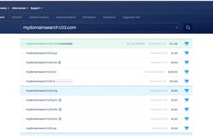 Dynadot screenshot 1