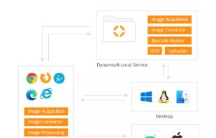 Dynamic Web TWAIN screenshot 1