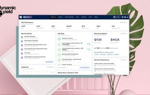 Dynamic Yield screenshot 1